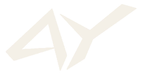 AYYN logo